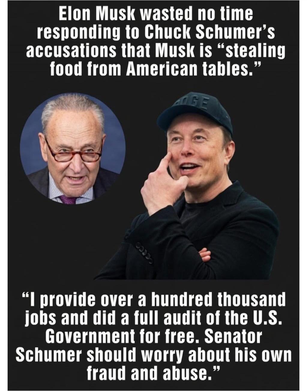Elon Musk wasted no time responding to Chuck Schumer's accusations that Musk is 
