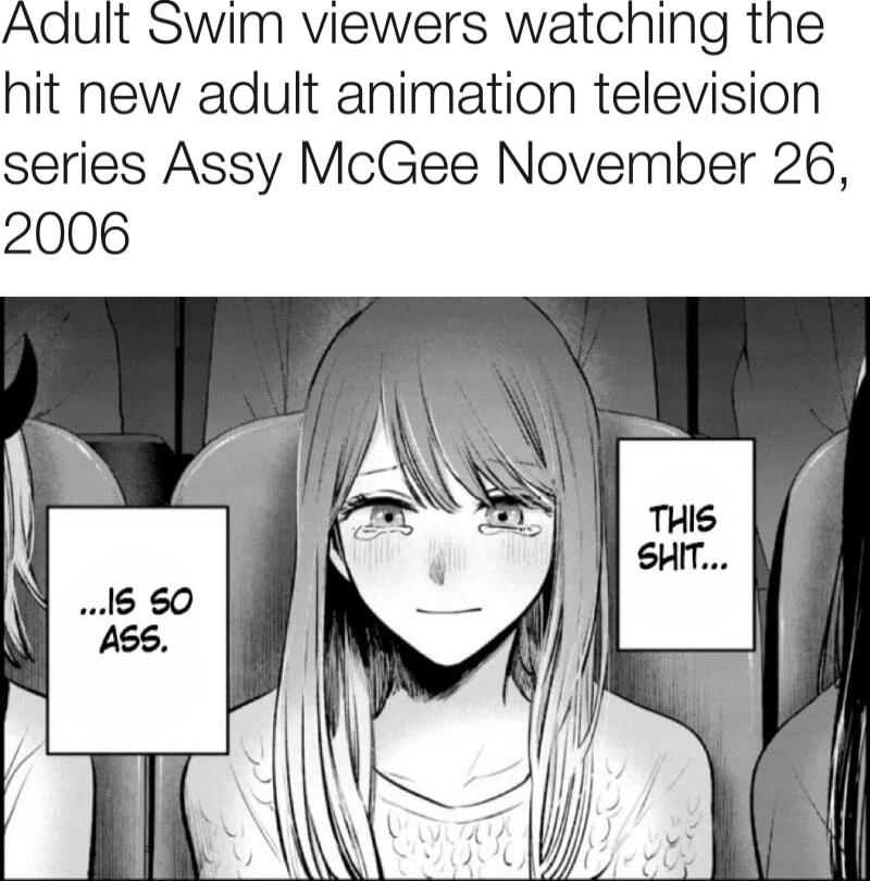 Adult swim viewers watching the hit new adult animation television series Assy McGee November 26 2006