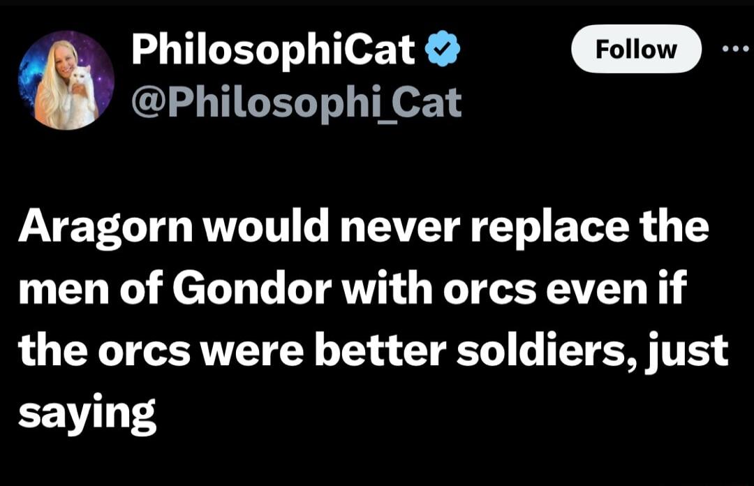 PhilosophiCat oo JEB Philosophi Cat AYET TG RV TV G VT T E TR T men of Gondor with orcs even if the orcs were better soldiers just saying