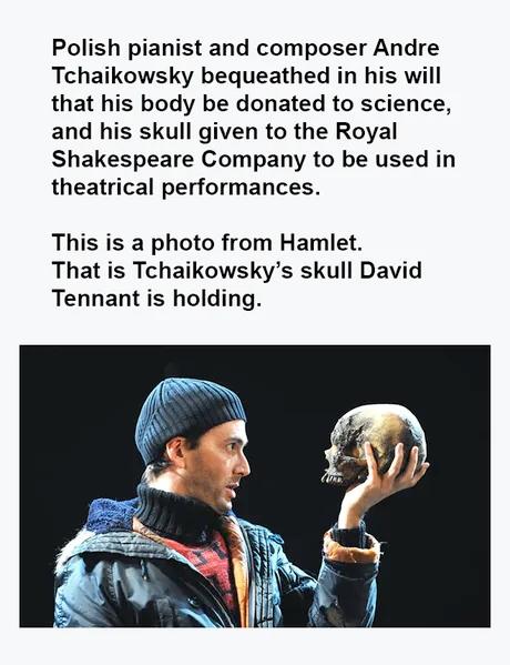 Polish pianist and composer Andre Tchaikowsky bequeathed in his will that his body be donated to science and his skull given to the Royal Shakespeare Company to be used in theatrical performances This is a photo from Hamlet That is Tchaikowskys skull David Tennant is holding