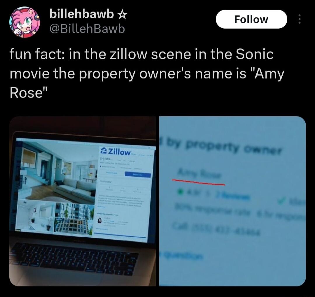 billehbawb ol OBilehBand fun fact in the zillow scene in the Sonic movie the property owners name is Amy Rose