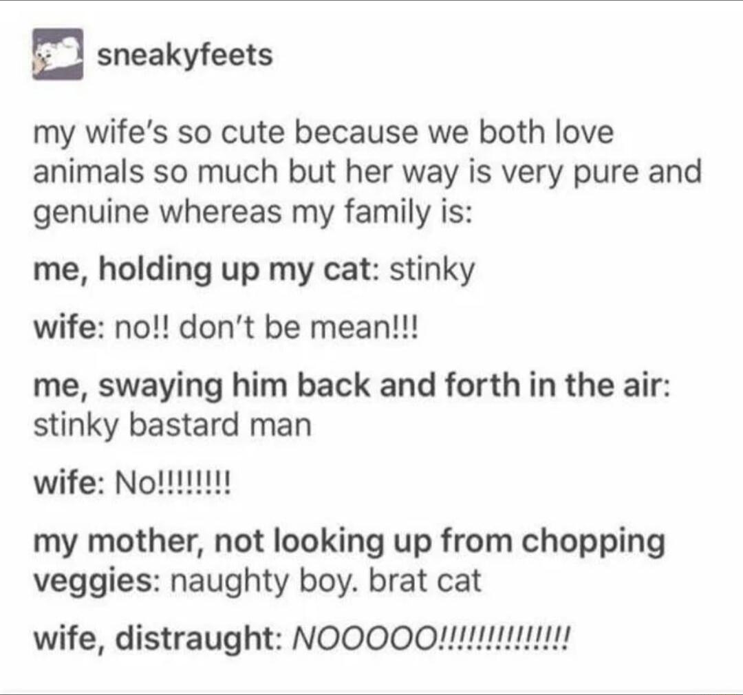 g sneakyfeets my wifes so cute because we both love animals so much but her way is very pure and genuine whereas my family is me holding up my cat stinky wife no dont be mean me swaying him back and forth in the air stinky bastard man wife Nottiit my mother not looking up from chopping veggies naughty boy brat cat