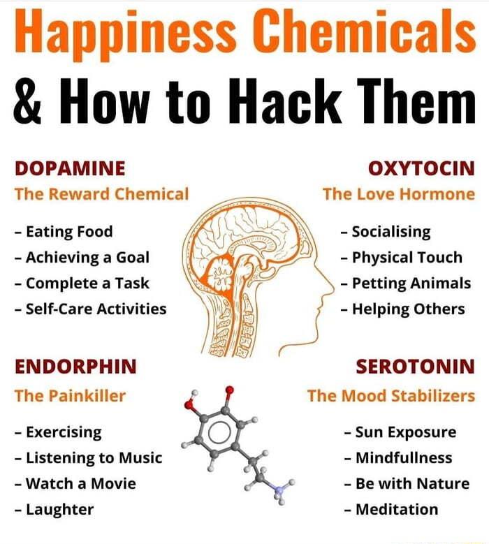 Happiness Chemicals How to Hack Them DOPAMINE OXYTOCIN The Reward Chemical _ The Love Hormone Eating Food Socialising Achieving a Goal Physical Touch Complete a Task Petting Animals Self Care Activities Helping Others ENDORPHIN SEROTONIN The Painkiller The Mood Stabilizers Exercising Sun Exposure Listening to Music Mindfullness Watch a Movie Be with Nature Laughter Meditation