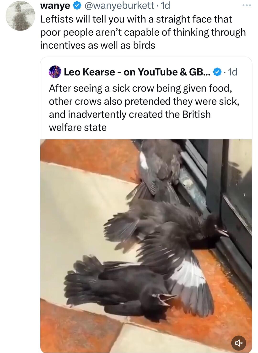 a wanye wanyeburkett 1d Leftists will tell you with a straight face that poor people arent capable of thinking through incentives as well as birds Leo Kearse on YouTube GB 1d After seeing a sick crow being given food other crows also pretended they were sick and inadvertently created the British welfare state
