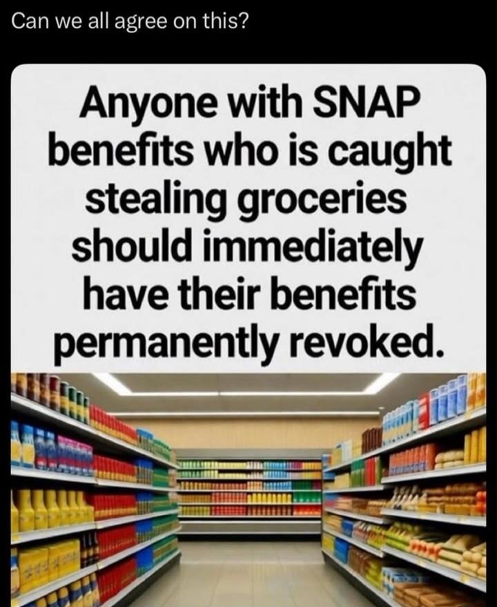 Anyone with SNAP benefits who is caught stealing groceries should immediately have their benefits permanently revoked.