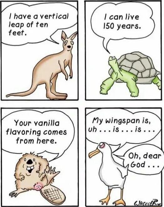 have a vertical leap of ten feet I can live 150 years Your vanilla flavoring comes from here My wingspan is Vhi818