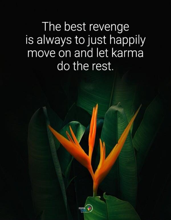 The best revenge is always to just happily move on and let karma do the rest. POSITIVE LIVE