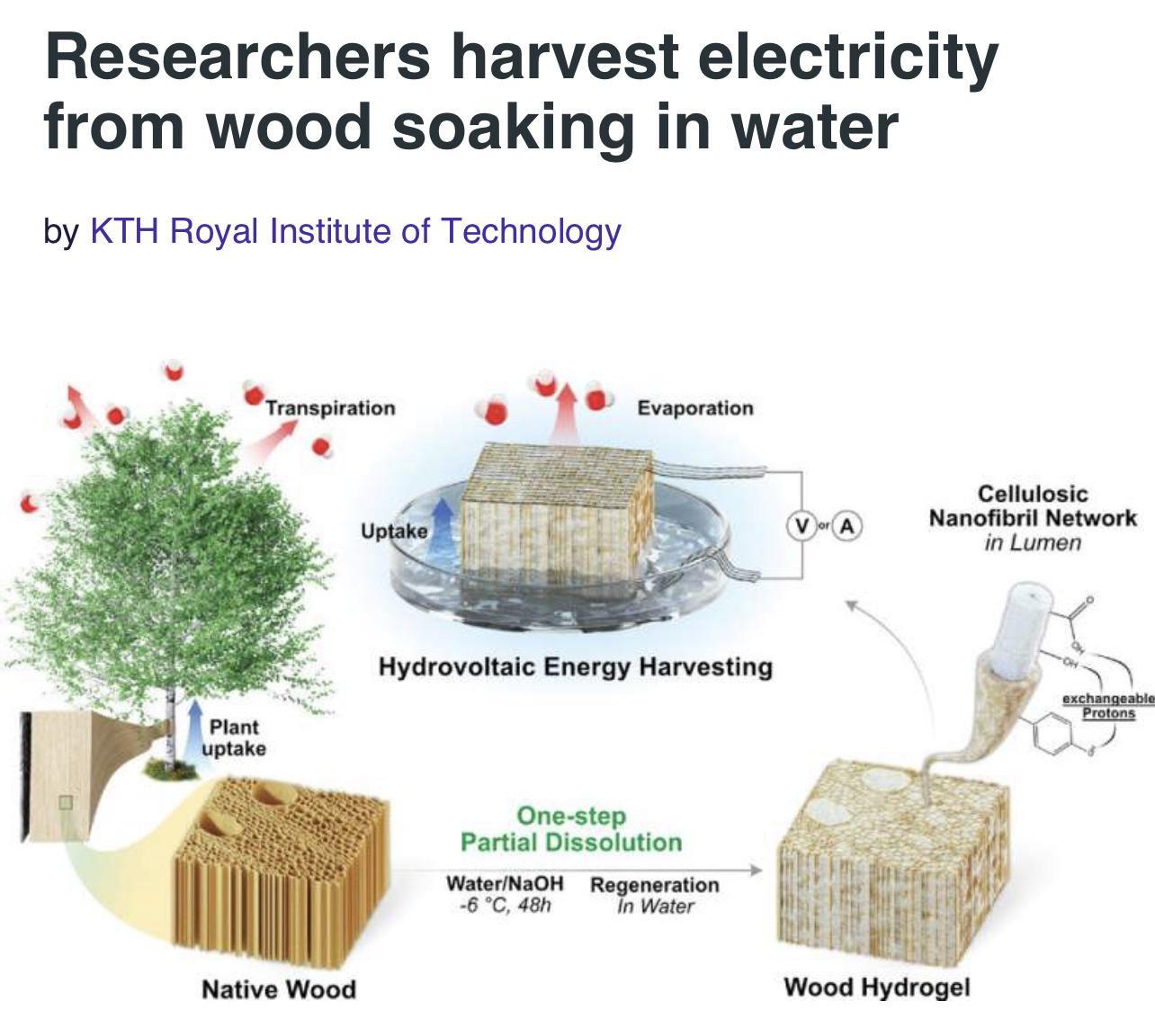 Researchers harvest electricity from wood soaking in water by KTH Royal Institute of Technology