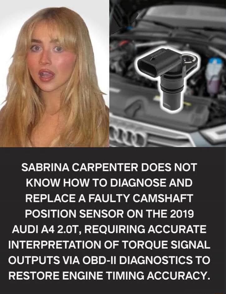 [redacted] DOES NOT KNOW HOW TO DIAGNOSE AND REPLACE A FAULTY CAMSHAFT POSITION SENSOR ON THE 2019 AUDI A4 2.0T, REQUIRING ACCURATE INTERPRETATION OF TORQUE SIGNAL OUTPUTS VIA OBD-II DIAGNOSTICS TO RESTORE ENGINE TIMING ACCURACY.