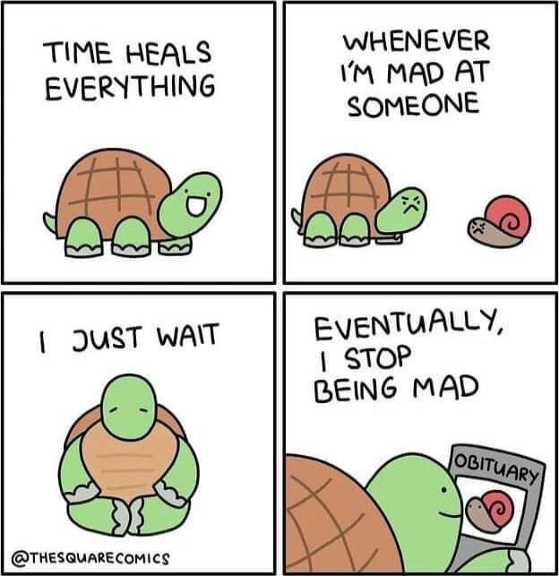 TIME HEALS WHENEVER M MAD AT EVERYTHING s 2 T EVENTUALLY JUST WA o A BEING MAD e THEsauARECoMICs