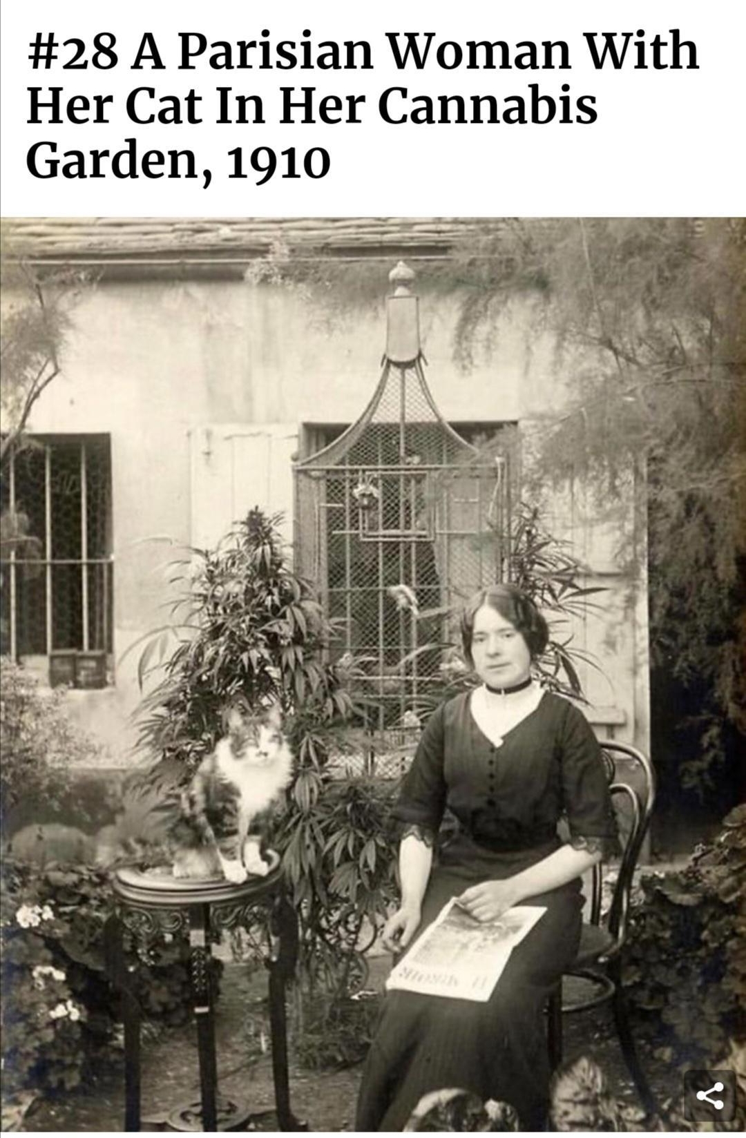 28 A Parisian Woman With Her Cat In Her Cannabis Garden 1910