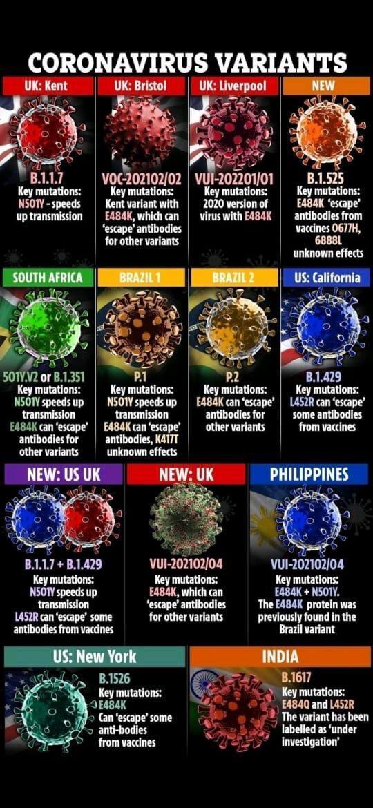 0 0 A U LRV TV UK Bristol P a Z n 3 oo g V0 20210202 VUI 20220101 Key mutations Key mutations Key mutations N501Y speeds Kent variant with 2020 version of up transmission EA84K whichcan virus with E484K escape antibodies for other variants 4 501VV2 or B1351 Key mutations NSO1Y speeds up transmission EA484K can escape antibodies for 07 4 N LARRES AR VL VUI 20210204 VUI 20210204 Key mutations Key mu