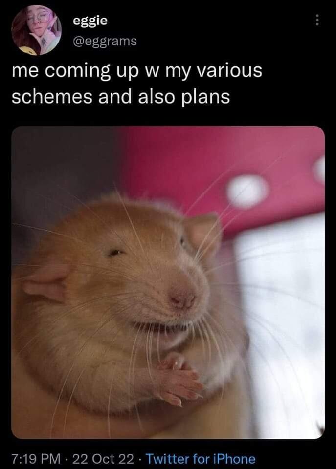 eggie ggram me coming up w my various S NS R N ET S 2 Twitter for iPhone