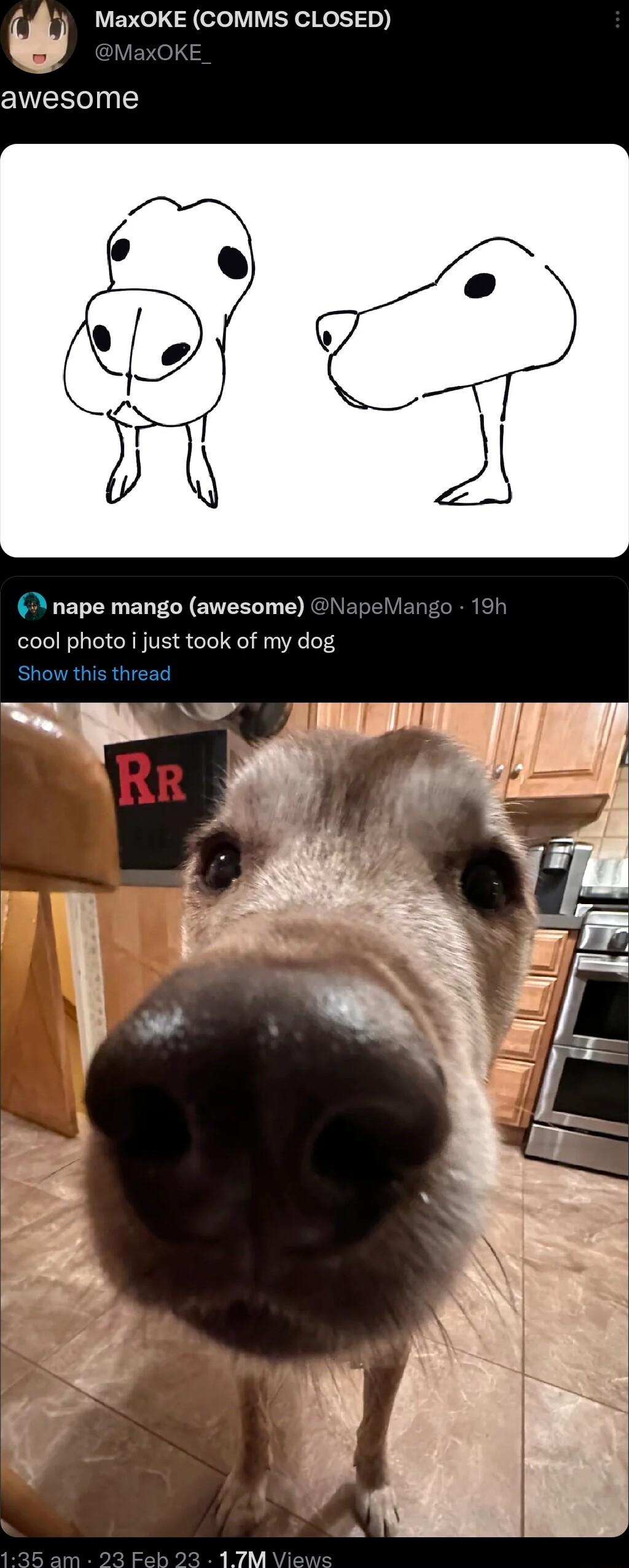 B MaxOKE COMMS CLOSED awesome nape mango awesome cool photo i just took of my dog