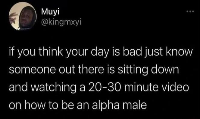 Muyi kingmxyi if you think your day is bad just know SelElelaleXe IV QIR Iuiale Ko elNV and watching a 20 30 minute video on how to be an alpha male