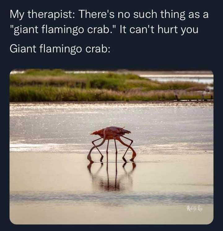 My therapist Theres no such thing as a giant flamingo crab It cant hurt you IR ETnlll oReI 1ok