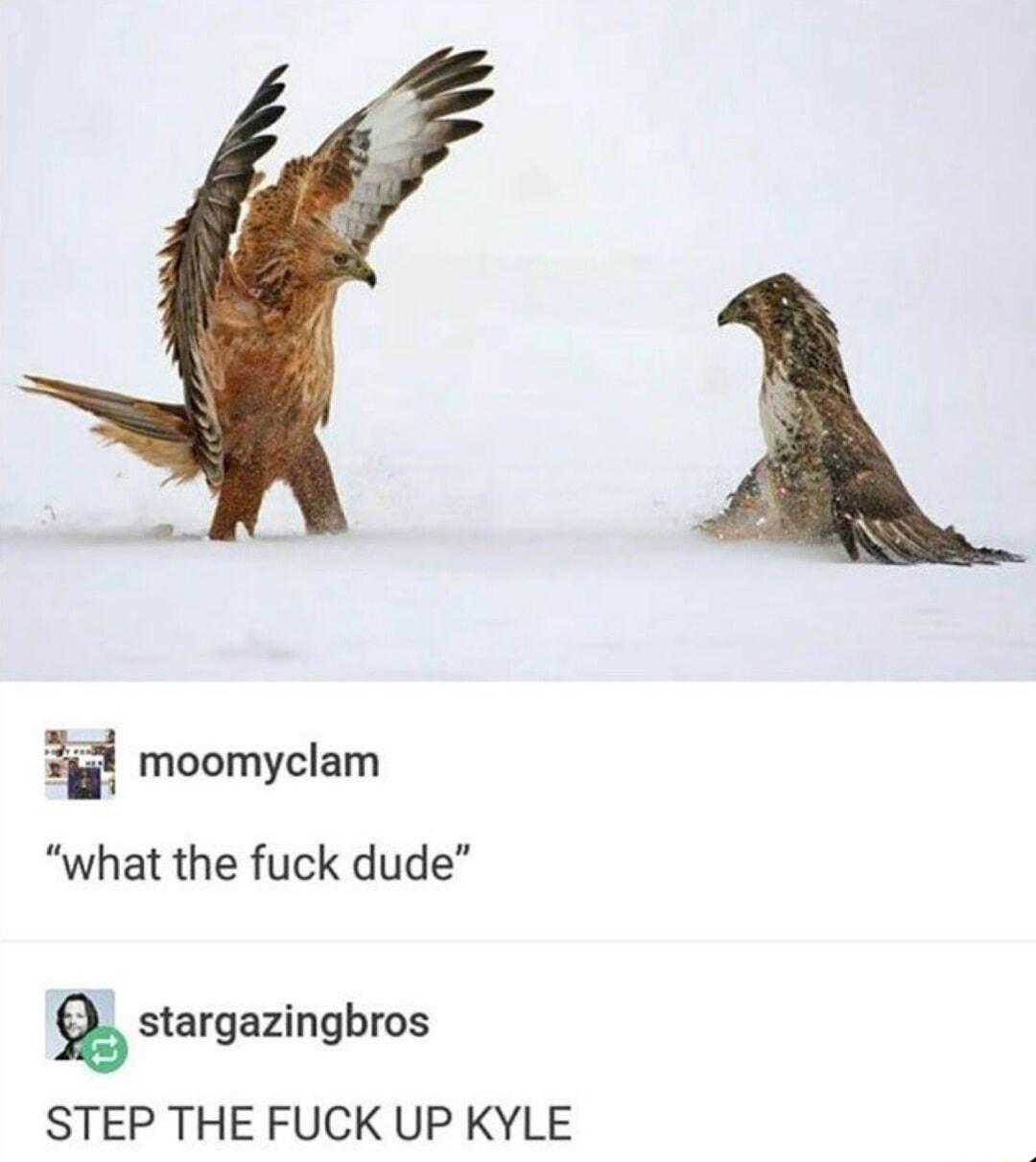 E moomyclam what the fuck dude stargazingbros STEP THE FUCK UP KYLE