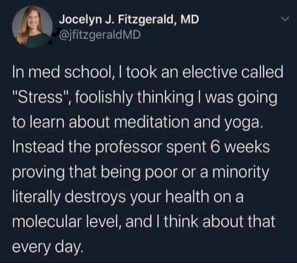 Jocelyn J Fitzgerald MD ifitzgeraldMD In med school took an elective called Stress foolishly thinking was going to learn about meditation and yoga Instead the professor spent 6 weeks proving that being poor or a minority literally destroys your health on a molecular level and think about that every day