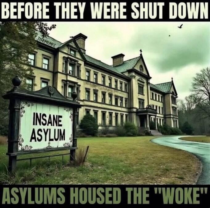 BEFORE THEY WERE SHUT DOWN INSANE ASYLUM ASYLUMS HOUSED THE 