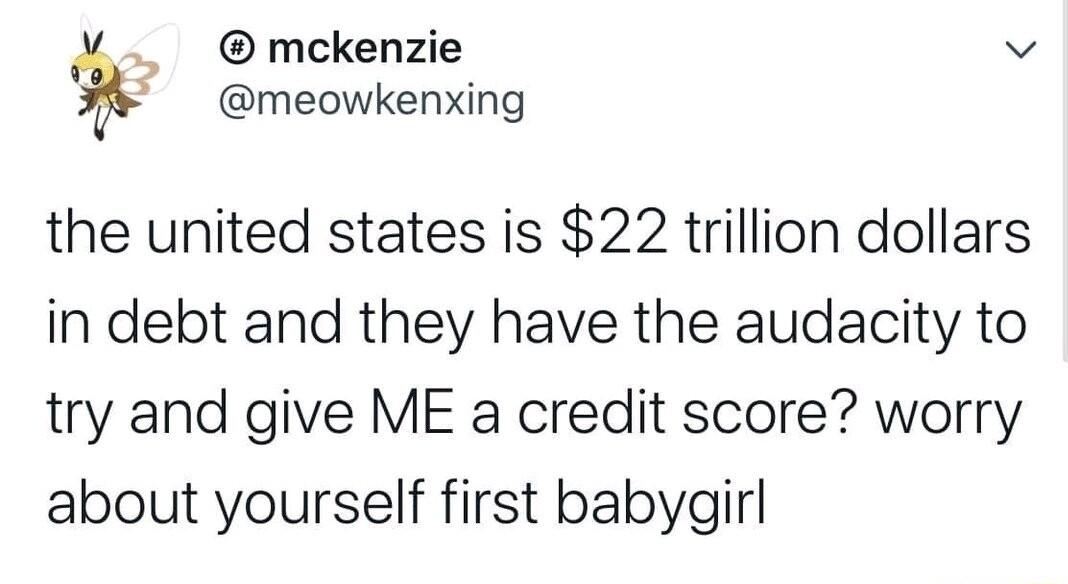 mckenzie v meowkenxing the united states is 22 trillion dollars in debt and they have the audacity to try and give ME a credit score worry about yourself first babygirl