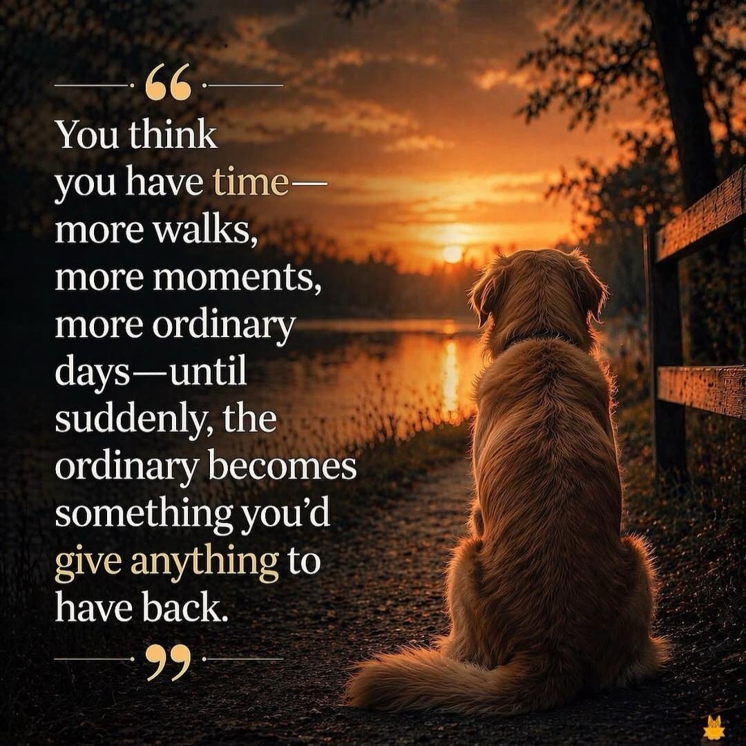 You think you have time— more walks, more moments, more ordinary days—until suddenly, the ordinary becomes something you'd give anything to have back.