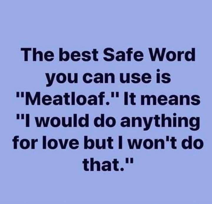 The best Safe Word you can use is Meatloaf It means l would do anything for love but wont do that