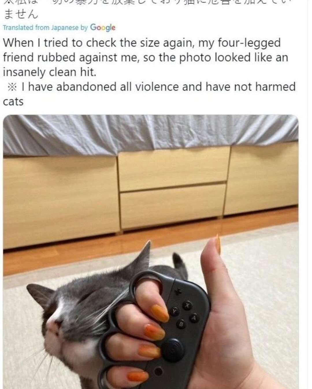 apanese by Google When tried to check the size again my four legged friend rubbed against me so the photo looked like an insanely clean hit have abandoned all violence and have not harmed cats