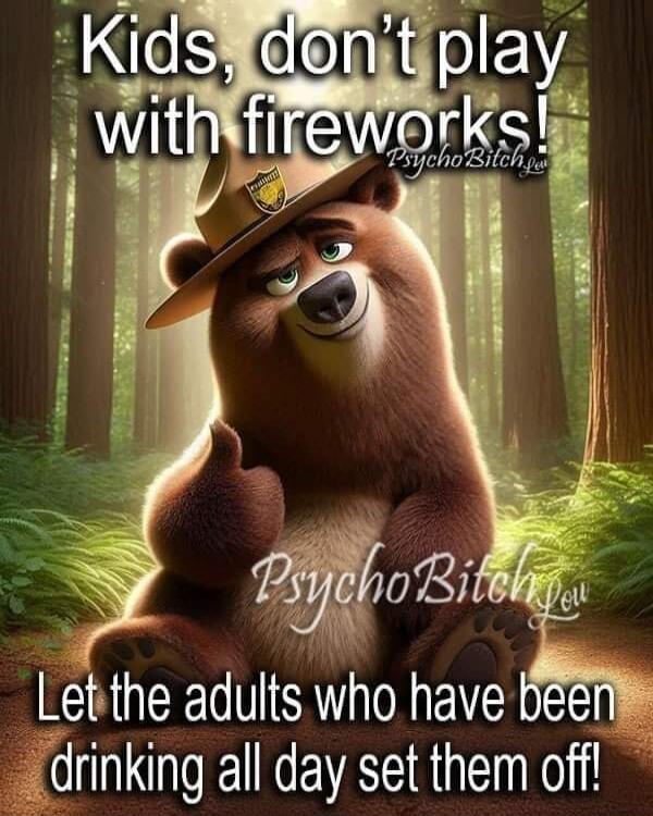 Kids, don't play with fireworks! PsychoBitch. Let the adults who have been drinking all day set them off!