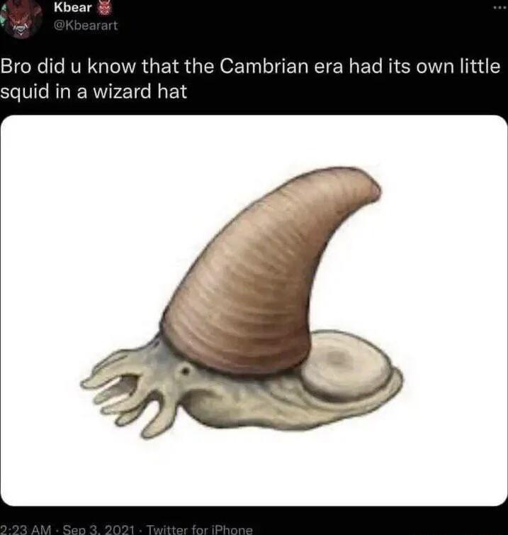 Bro did u know that the Cambrian era had its own little squid in a wizard hat