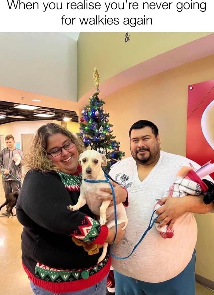 VVhen you realise youre never going for walkies again