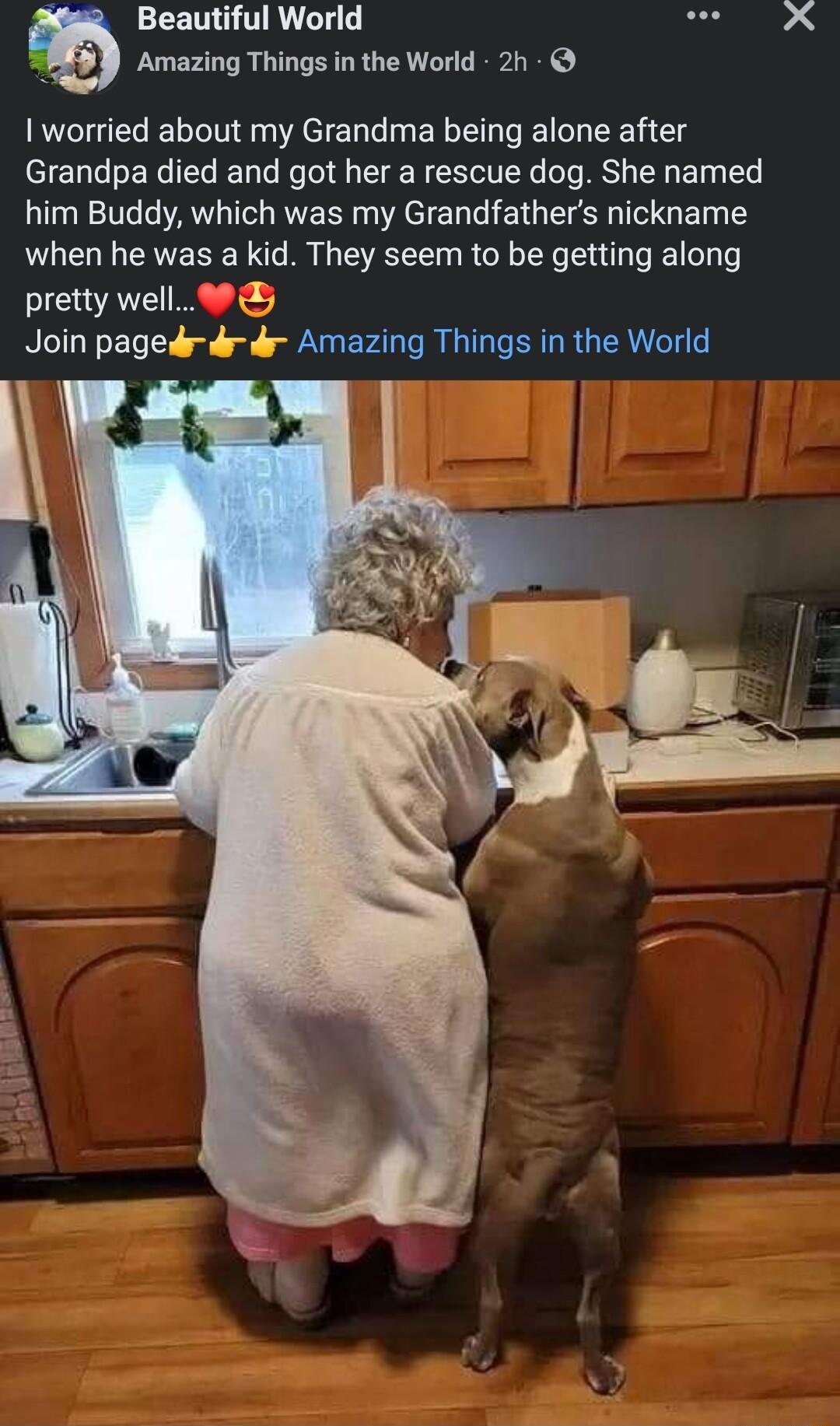Beautiful World oo Amazing Things in the World 2h worried about my Grandma being alone after Grandpa died and got her a rescue dog She named him Buddy which was my Grandfathers nickname when he was a kid They seem to be getting along pretty well 9 Join pagedrdrd Amazing Things in the World