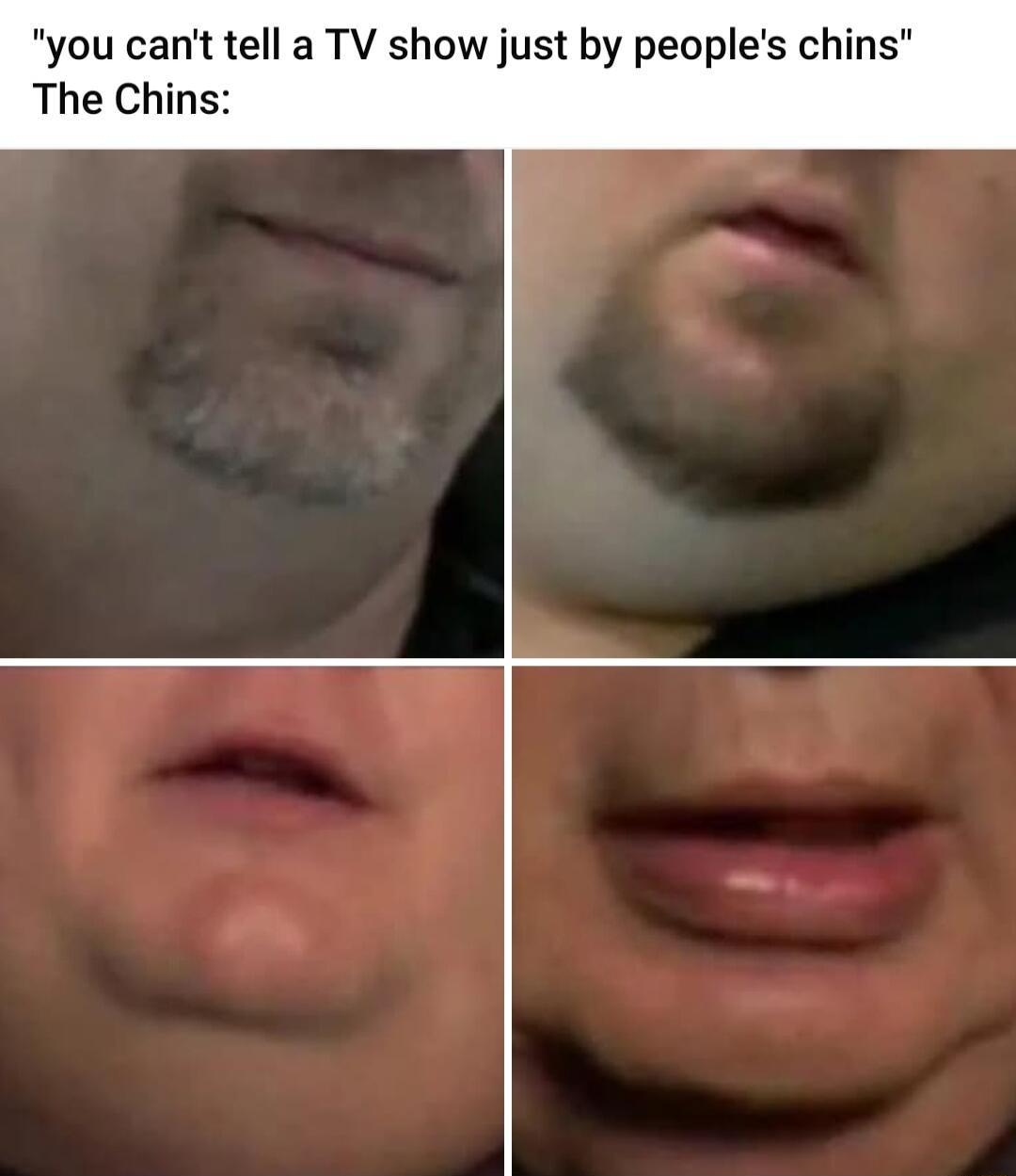 you cant tell a TV show just by peoples chins The Chins