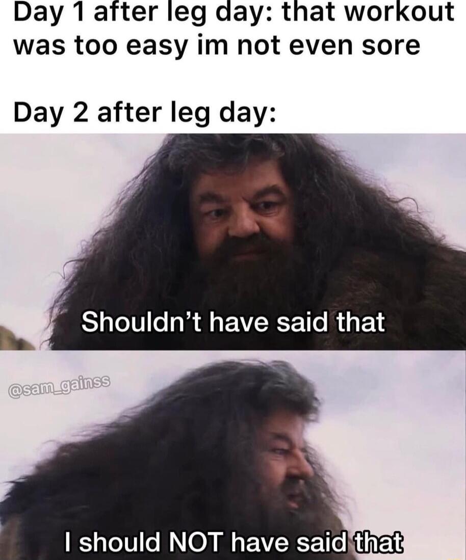Day 1 aftter leg day that workout was too easy im not even sore Day 2 after leg day should NOT have saidithat