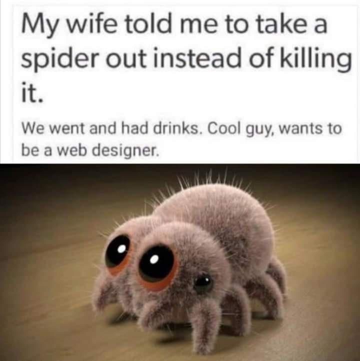 My wife told me to take a spider out instead of killing it We went and had drinks Cool guy wants to be a web designer