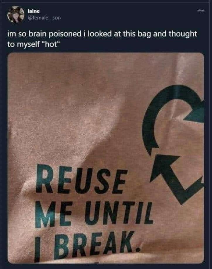 laine K female_son im so brain poisoned i looked at this bag and thought to myself hot