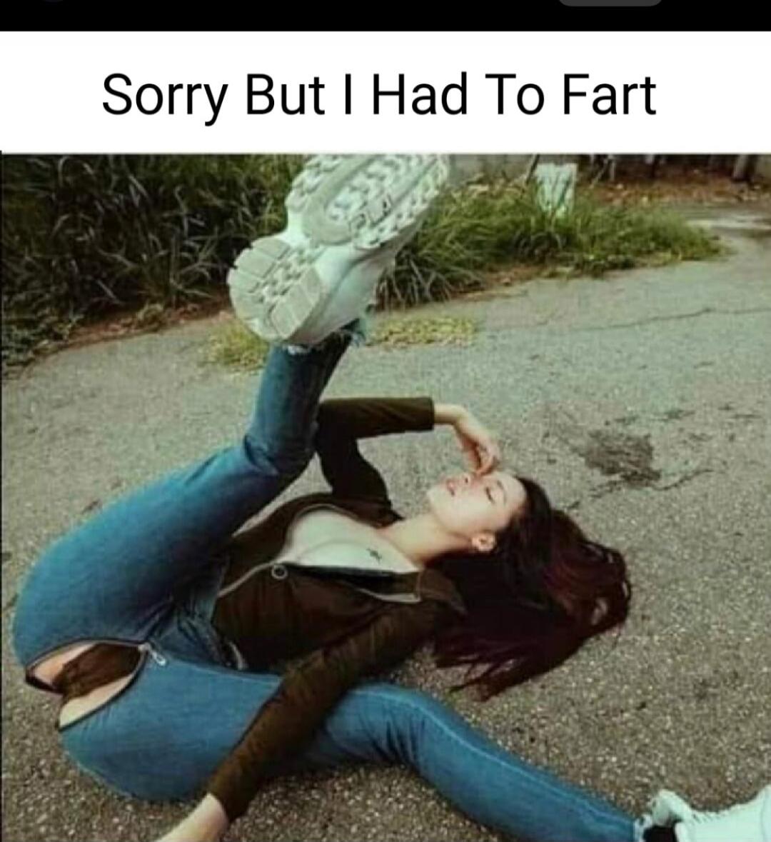 Sorry But I Had To Fart