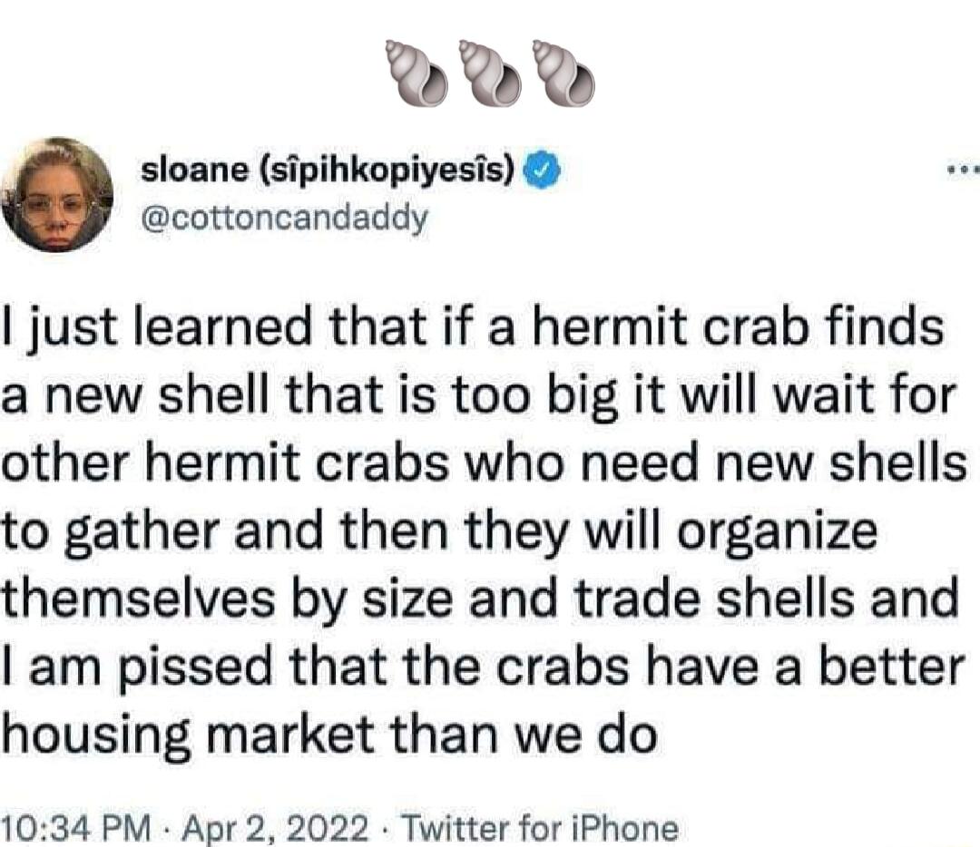 2V sloane sipihkopiyesis cottoncandaddy just learned that if a hermit crab finds a new shell that is too big it will wait for other hermit crabs who need new shells to gather and then they will organize themselves by size and trade shells and am pissed that the crabs have a better housing market than we do 1034 PM Apr 2 2022 Twitter for iPhone