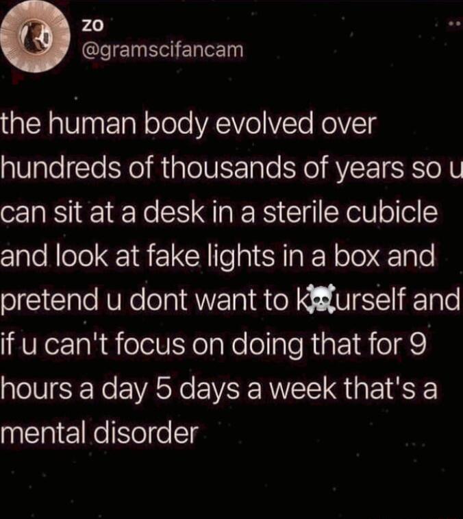 20 EGELEN QN ET N olole YRV e IV Te RolVET hundreds of thousands of years so u can sit at a desk in a sterile cubicle and look at fake lights in a box and pretend u dont want to Kurself and if u cant focus on doing that for 9 hours a day 5 days a week thats a el KeSoliollg