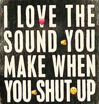I LOVE THE SOUND YOU MAKE WHEN YOU SHUT UP