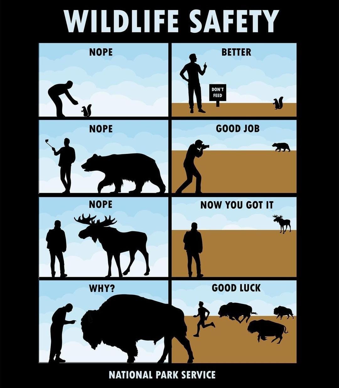 WILDLIFE SAFETY i m m NATIONAL PARK SERVICE