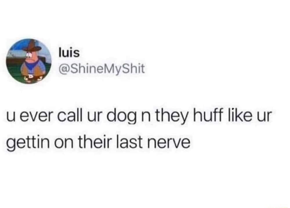 luis ShineMyShit u ever call ur dog n they huff like ur gettin on their last nerve