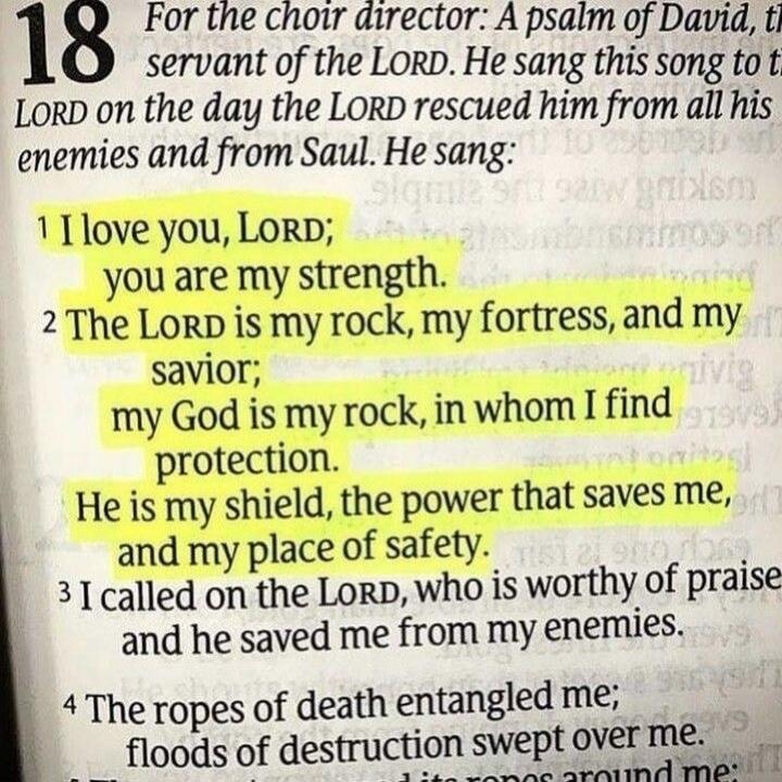 18 For the choir director: A psalm of David, the servant of the LORD. He sang this song to the LORD on the day the LORD rescued him from all his enemies and from Saul. He sang: 1 I love you, LORD; you are my strength. 2 The LORD is my rock, my fortress, and my savior; my God is my rock, in whom I find protection. He is my shield, the power that sav