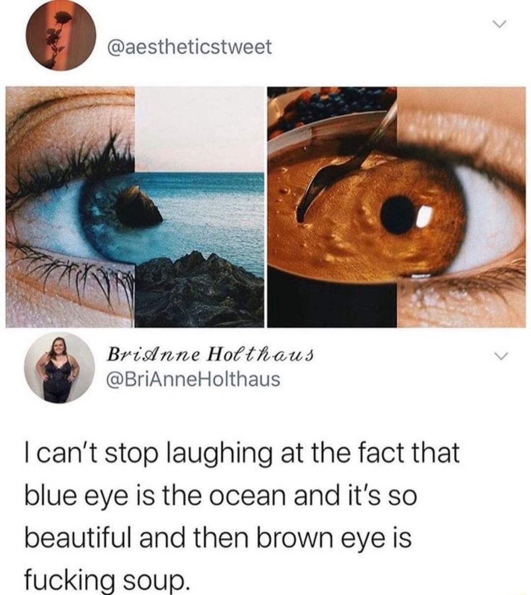9 aestheticstweet Bridnne Hotthaus BriAnneHolthaus cant stop laughing at the fact that blue eye is the ocean and its so beautiful and then brown eye is fucking soup