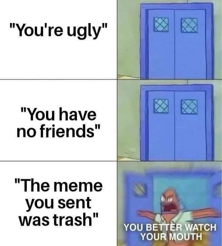 Youre ugly You have no friends The meme you sent was trash