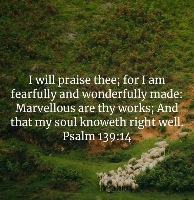 I will praise thee; for I am fearfully and wonderfully made: Marvellous are thy works; And that my soul knoweth right well. Psalm 139:14