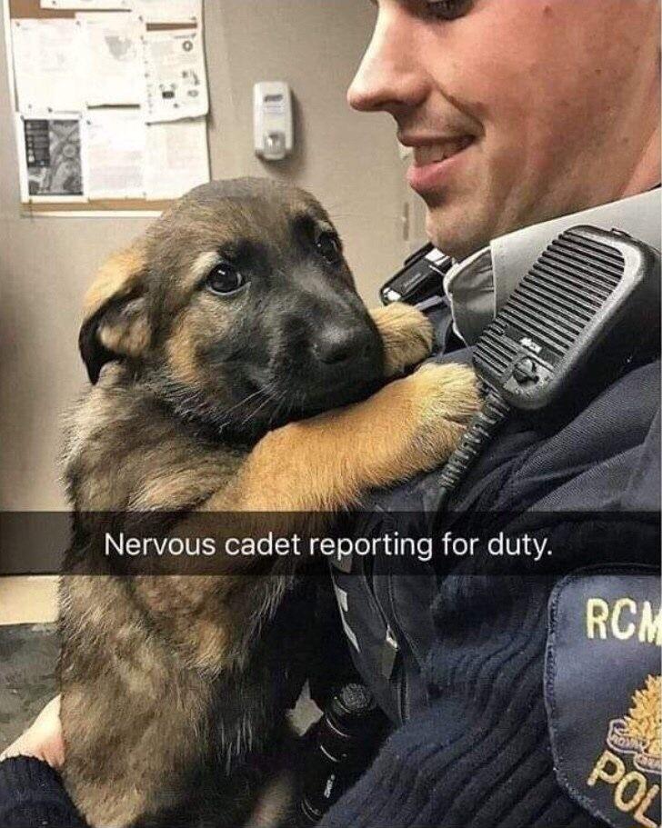 Nervous cadet reporting for duty o N 0