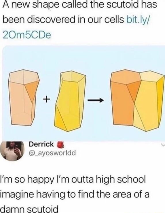 A new shape called the scutoid has been discovered in our cells bitly 20m5CDe Demck ayosworldd m so happy Im outta high school imagine having to find the area of a damn scutoid