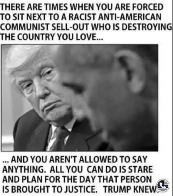 THERE ARE TIMES WHEN YOU ARE FORCED TO SIT NEXT TO A RACIST ANTI-AMERICAN COMMUNIST SELL-OUT WHO IS DESTROYING THE COUNTRY YOU LOVE... AND YOU AREN'T ALLOWED TO SAY ANYTHING. ALL YOU CAN DO IS STARE AND PLAN FOR THE DAY THAT PERSON IS BROUGHT TO JUSTICE. TRUMP KNEW