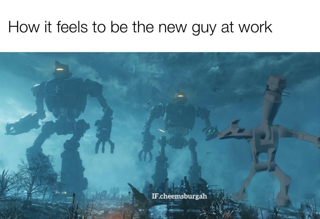 How it feels to be the new guy at work i IFcheemsburgah