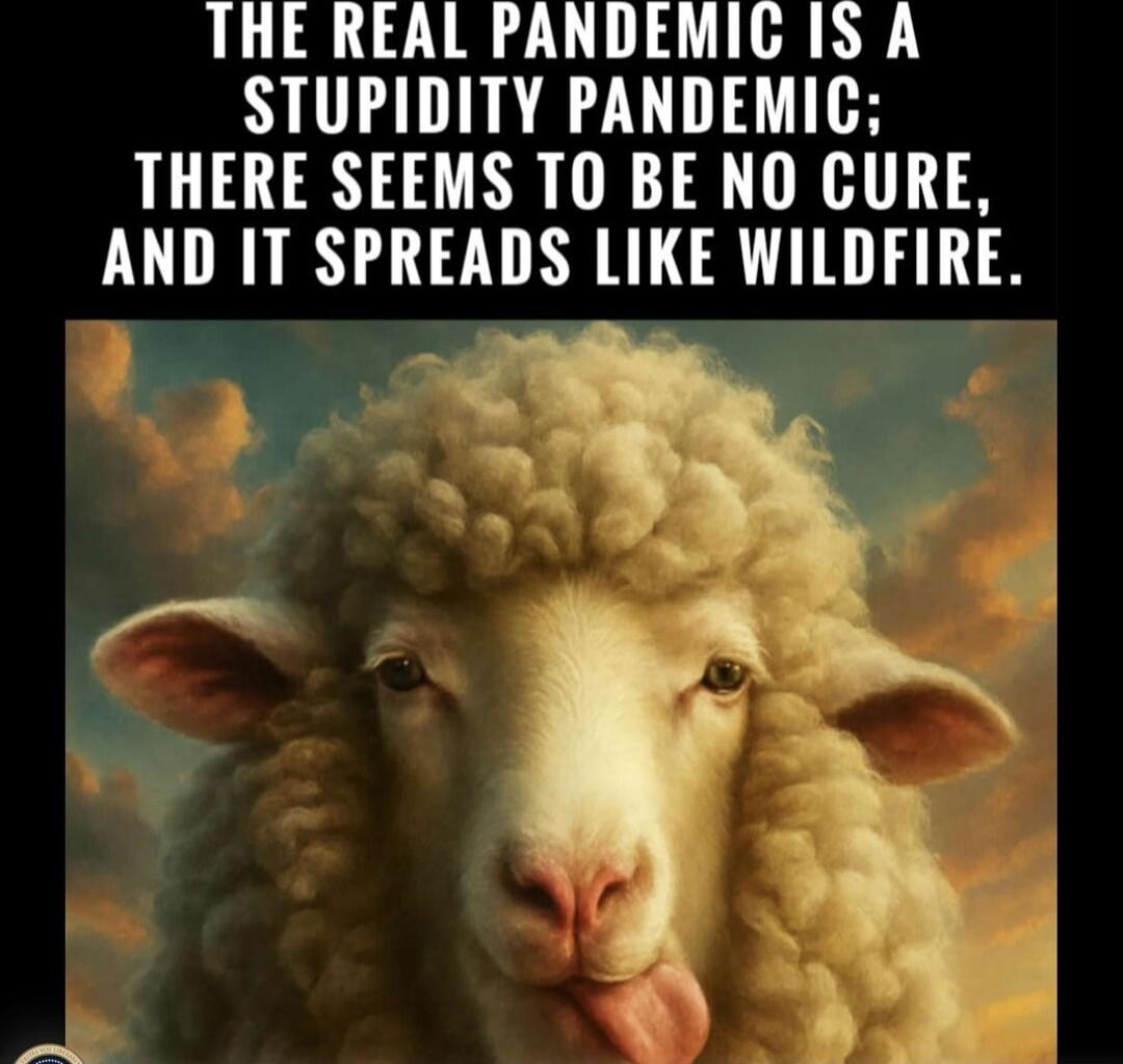 THE REAL PANDEMIC IS A STUPIDITY PANDEMIC; THERE SEEMS TO BE NO CURE, AND IT SPREADS LIKE WILDFIRE.